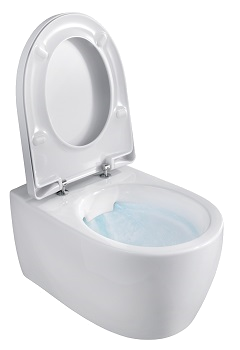 toilettes rimfree