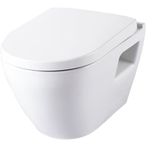 toilettes suspendues